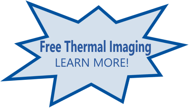 free thermal imaging with inspection
